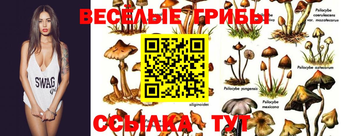даркнет сайт  Вход с VPN  Уварово  Галлюциногенные грибы Cubensis 
