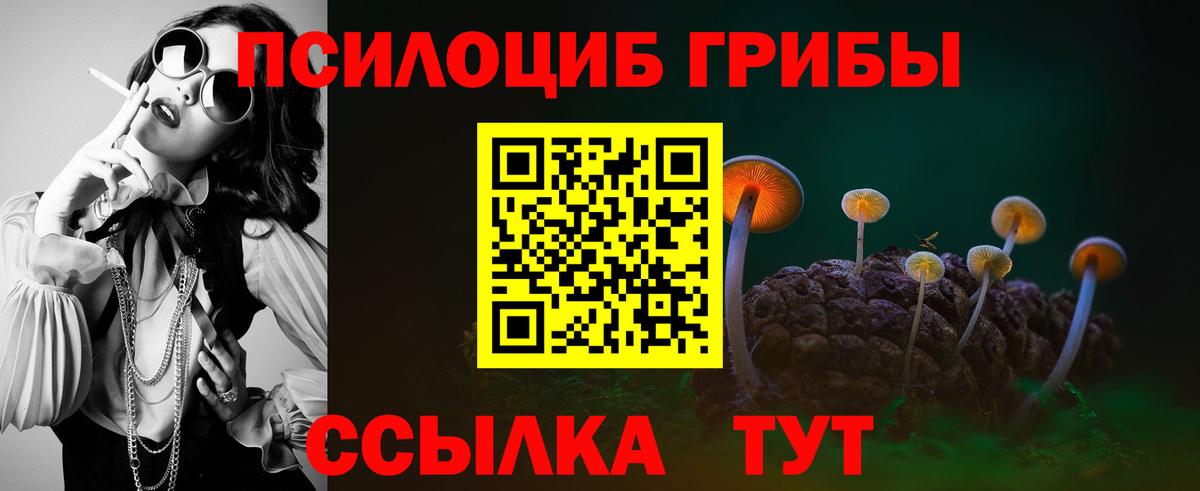 Псилоцибиновые грибы прущие грибы Уварово